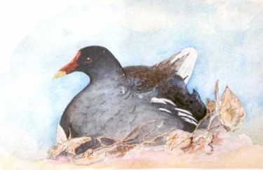 Картина под названием "poule d'eau" - Jean-Claude Selles Brotons, Подлинное произведение искусства