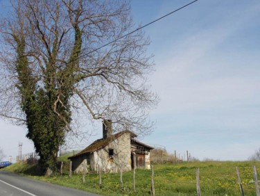 Photography titled "le vieux chêne et l…" by Jean-Claude Selles Brotons, Original Artwork