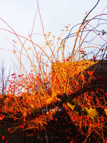 Fotografie getiteld "Orange light of the…" door Selena Sashina, Origineel Kunstwerk, Digitale fotografie