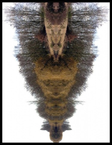 Arts numériques intitulée "symétrie08" par Serein, Œuvre d'art originale, Peinture numérique