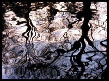 Peinture intitulée "reflet d' eau 19" par Serein, Œuvre d'art originale, Huile