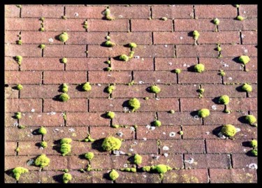 Photographie intitulée "mousse sur un toit" par Serein, Œuvre d'art originale