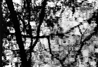 Photographie intitulée "arbre en reflet" par Serein, Œuvre d'art originale
