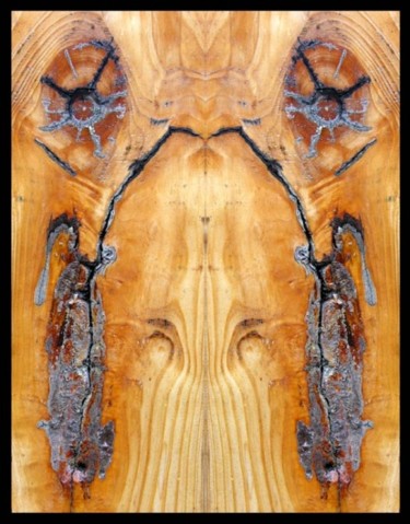 Arts numériques intitulée "symétrie porte 02" par Serein, Œuvre d'art originale