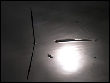 Photographie intitulée "Au bord de l'eau 01" par Serein, Œuvre d'art originale