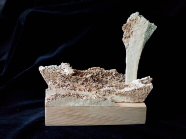 Sculpture titled "theatre set" by Serendipity Liche, Original Artwork, Bone
