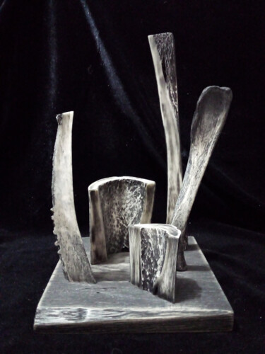 Skulptur mit dem Titel "Promenade dans le p…" von Serendipity Liche, Original-Kunstwerk, Knochen