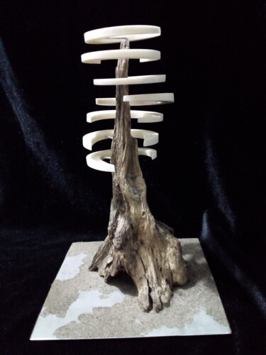 Skulptur mit dem Titel "Ley lines concentra…" von Serendipity Liche, Original-Kunstwerk, Knochen