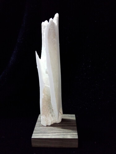 Скульптура под названием "Immeuble en ruine" - Serendipity Liche, Подлинное произведение искусства, кость