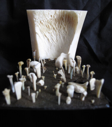 Skulptur mit dem Titel "La falaise" von Serendipity Liche, Original-Kunstwerk, Knochen