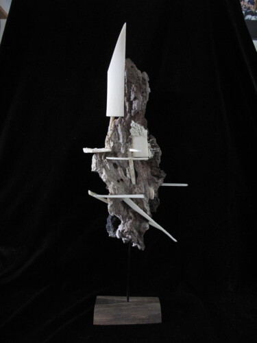 Escultura titulada "falaise flottante" por Serendipity Liche, Obra de arte original, Hueso