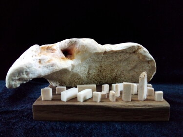 Скульптура под названием "Tsunami" - Serendipity Liche, Подлинное произведение искусства, кость