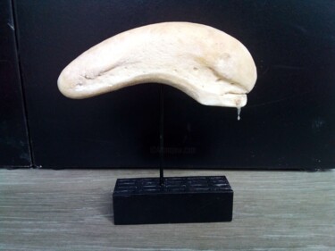 Sculpture intitulée "Giger's Alien head" par Serendipity Liche, Œuvre d'art originale, Os