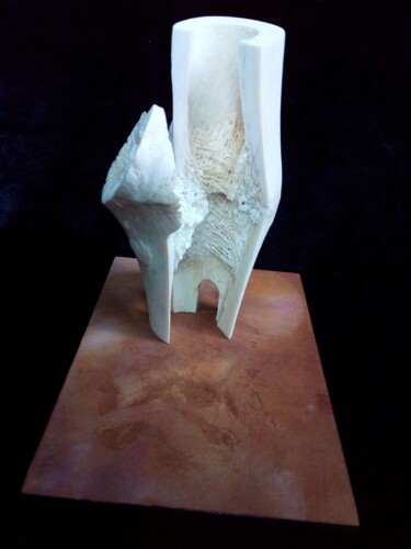 Sculpture titled "Antichambre" by Serendipity Liche, Original Artwork, Bone