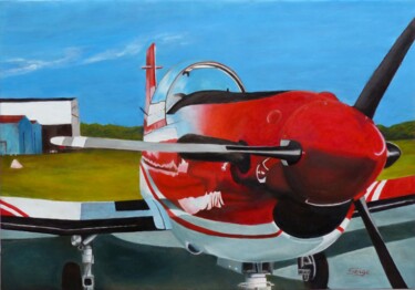 Pintura intitulada "L'avion rouge (Pila…" por Serge Boisse, Obras de arte originais, Óleo