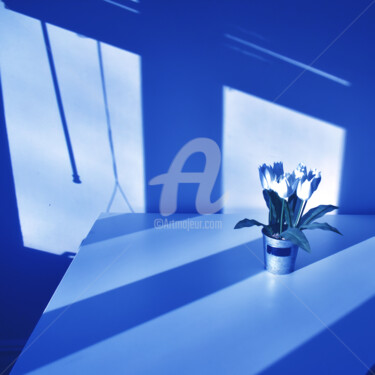Digital Arts με τίτλο "Bouquet sur la table" από Serge Nouchi, Αυθεντικά έργα τέχνης, 2D ψηφιακή εργασία