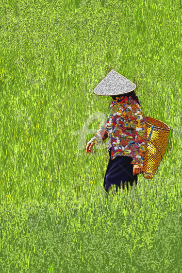 Arts numériques intitulée "Femme dans les rizi…" par Serge Nouchi, Œuvre d'art originale