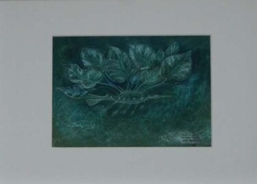 Printmaking titled "Seule la nature_" by Serge Reynaud (Art of Flying), Original Artwork, Digital Print