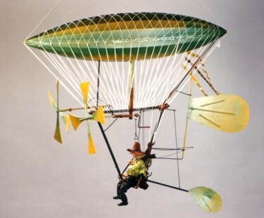 Скульптура под названием "HELICOPANTHE" - Serge Reynaud (Art of Flying), Подлинное произведение искусства, Мультимедиа