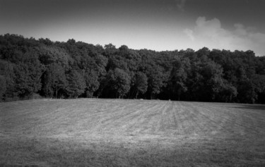 Photographie intitulée "Lisière 2" par Serge Ricome, Œuvre d'art originale, Photographie argentique