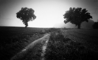 Photography titled "Chemin intime 3" by Serge Ricome, Original Artwork, Analog photography