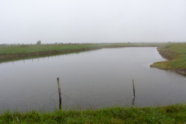 Photographie intitulée "Marais dans la brume" par Serge Ricome, Œuvre d'art originale, Photographie numérique