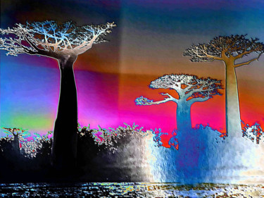 Photography titled "Baobabs" by Serge Thiery, Original Artwork, Digital Photography