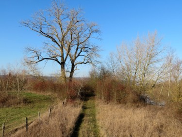 Photographie intitulée "Trouver Son Chemin" par Serge Thiery, Œuvre d'art originale, Photographie numérique