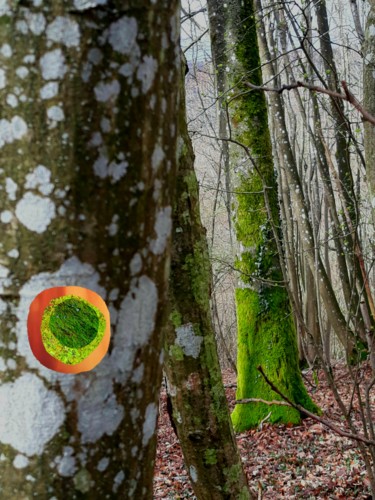 Arts numériques intitulée "L'œil de la Forêt" par Serge Thiery, Œuvre d'art originale, Autre