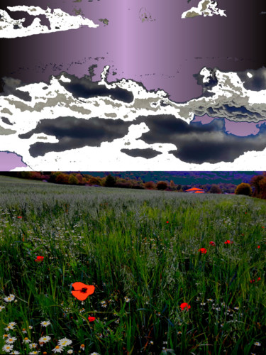 Digital Arts titled "Coquelicot" by Serge Thiery, Original Artwork, Digital Photography