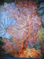 Peinture intitulée "Corail et lumière" par Serge Brizai, Œuvre d'art originale, Huile
