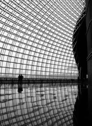Fotografia zatytułowany „Inside the Dome (Fr…” autorstwa Serge Horta, Oryginalna praca, Fotografia cyfrowa Zamontowany na Pa…
