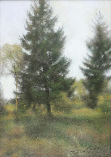「Spruce」というタイトルの絵画 Sergej Pisarenkoによって, オリジナルのアートワーク, オイル