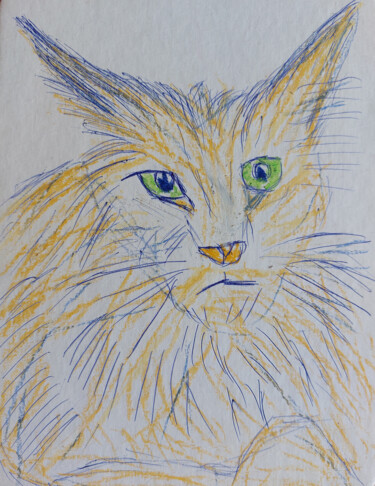 Drawing titled "Maine Coon cat" by Sergej Danko, Original Artwork, Pastel