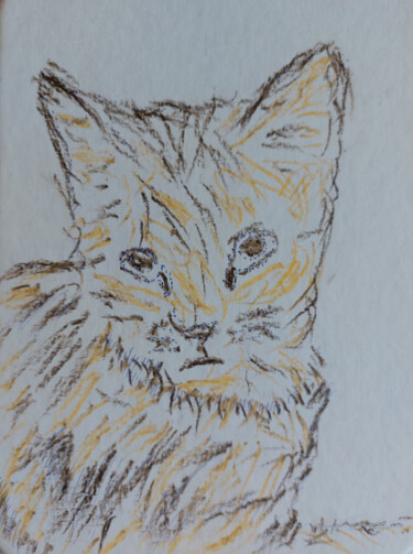 Disegno intitolato "British kitten" da Sergej Danko, Opera d'arte originale, Pastello