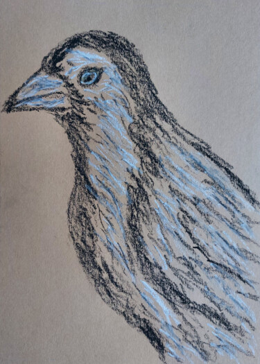 Drawing titled "Raven" by Sergej Danko, Original Artwork, Pastel