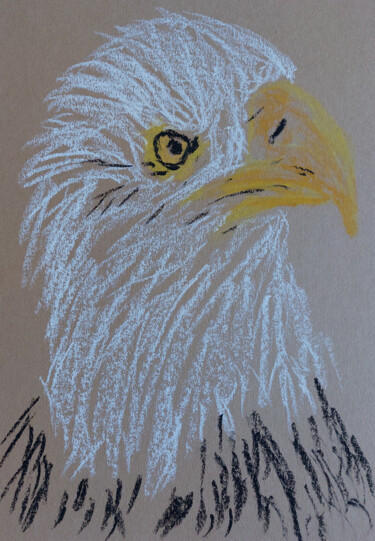 Tekening getiteld "Eagle" door Sergej Danko, Origineel Kunstwerk, Pastel
