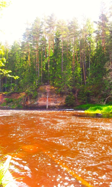 Fotografie mit dem Titel "stream" von Sergejs Garijs, Original-Kunstwerk, Digitale Fotografie