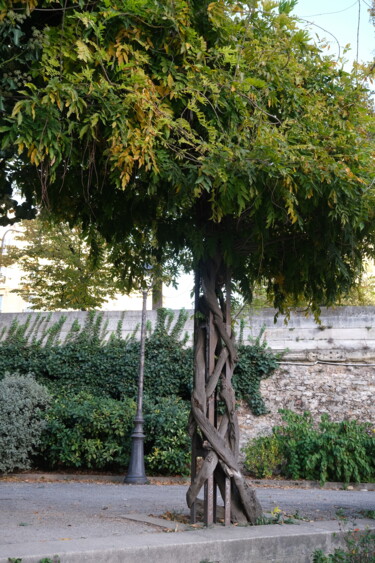 Fotografie getiteld "Un arbre à Paris" door Serge Leroux, Origineel Kunstwerk, Digitale fotografie