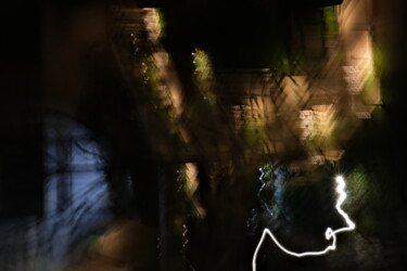 Photography titled "Jardin de lumière" by Serge Leroux, Original Artwork, Digital Photography