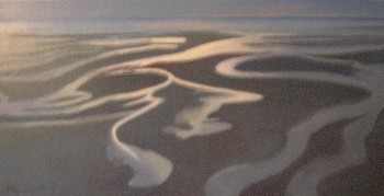 Peinture intitulée "Marée basse" par Serge Roy, Œuvre d'art originale
