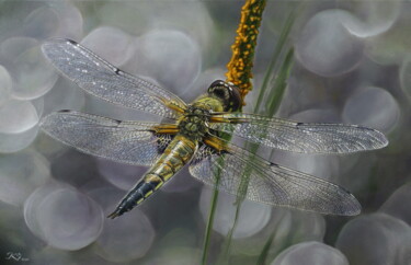 Pittura intitolato "Dragonfly" da Sergey Kuzmin, Opera d'arte originale, Olio Montato su Telaio per barella in legno