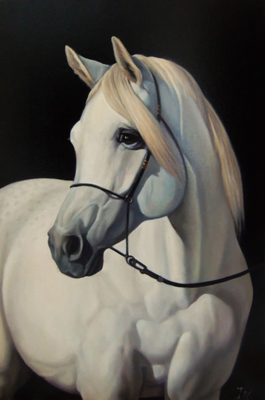 Painting titled "White horse-1 (40x6…" by Sergey Miqayelya, Original Artwork, Oil Mounted on Wood Stretcher frame
