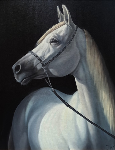 Painting titled "White horse-2 (40x5…" by Sergey Miqayelya, Original Artwork, Oil Mounted on Wood Stretcher frame