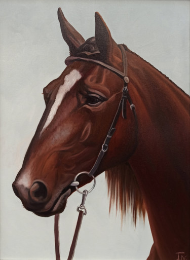 Painting titled "Horse portrait-3 (4…" by Sergey Miqayelya, Original Artwork, Oil Mounted on Wood Stretcher frame