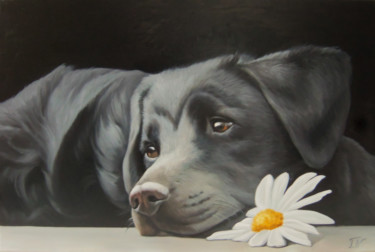 Painting titled "Dog with chamomile…" by Sergey Miqayelya, Original Artwork, Oil Mounted on Wood Stretcher frame