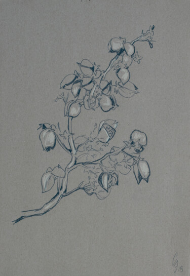 Tekening getiteld "Branch" door Sergey Sovkov, Origineel Kunstwerk, Conté