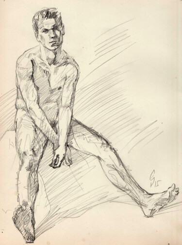 Drawing titled "Gannet" by Sergey Sovkov, Original Artwork, Pencil