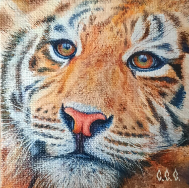 Painting titled "Tiger" in a frame" by Sergey Suslov, Original Artwork, Oil