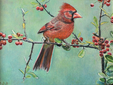 Painting titled "CARDINAL ON A BRANC…" by Sergey Suslov, Original Artwork, Oil Mounted on Cardboard